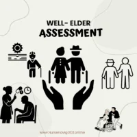 Comprehensive Care for the Well-Elder: Building a Foundation for Geriatric Nursing Excellence